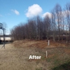 Affordable Tree Service Inc gallery