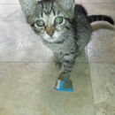 Independence Animal Hospital - Veterinarian Emergency Services