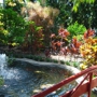 Sunken Gardens