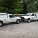 Pest Rite - Bee Control & Removal Service