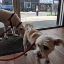 The Canine Corner - Pet Boarding & Kennels