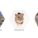 Hydrex Termite & Pest Control - Simi Valley Termite & Pest Control Company - Pest Control Services-Commercial & Industrial