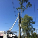 Titan Arbor Care Tree Service - Tree Service