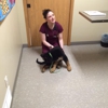 Hall Veterinary Clinic gallery
