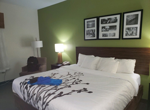 Sleep Inn & Suites Stockbridge Atlanta South - Stockbridge, GA