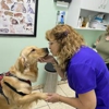 Four Paws Angels Animal Clinic gallery