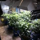 Urban Grow Systems - Garden Centers