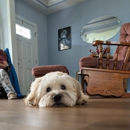 Dog Training Elite Greater Cincinnati - Pet Training