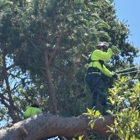 Anderson Tree Care Specialists