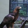 Sulphur Creek Nature Center gallery