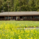 Roosevelt Lodge Cabins - Cottages