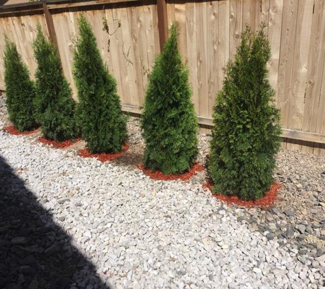 Expert Tree and Yard Services - Reno, NV