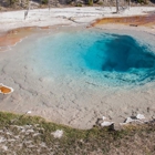 Experience Yellowstone Tours