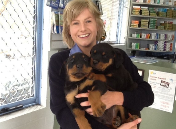 Animal Medical Centre Veterinary Hospital - Launceston, TAS