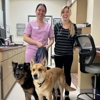 VCA Los Angeles Veterinary Specialists gallery