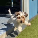 Greenlin Pet Resorts - Pet Boarding & Kennels