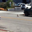 SoCo Smog Check - Auto Repair & Service