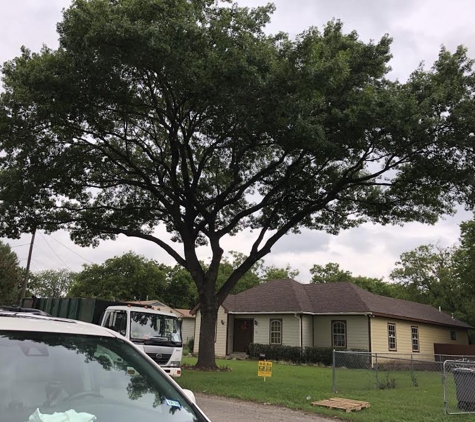 Big Bird Tree Service - Dallas, TX. Residential Service