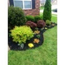 Henson & Sons Landscaping & Tree Service - Tree Service