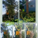 Eber's Tree Service - Tree Service