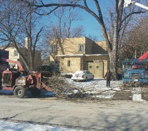 Meca Tree Service - Maywood, IL