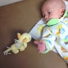 Lyndon Pediatric Assocs gallery