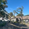 Newcomb Tree Experts, Inc gallery
