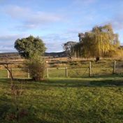 Gallery Image Number 5