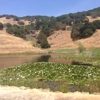 Nicholson Ranch gallery