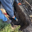 Drain King - Plumbers
