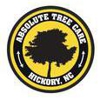 Absolute Tree Care of Hickory gallery