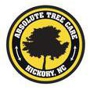 Absolute Tree Care of Hickory