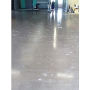 Gallery Image Number 4