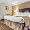 Quality Inn & Suites Coliseum gallery