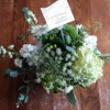 Lilies of the Alley gallery