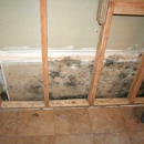 Air Quality Remediation - Mold Remediation