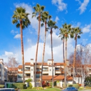 Maddox Real Estate - Real Estate Agents