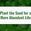 Abundant Tree Care Services gallery
