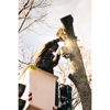 Summit Tree and Land Solutions gallery
