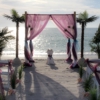 Suncoast Weddings and Events gallery