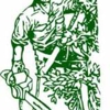 Mike's Tree Service & Landscaping gallery