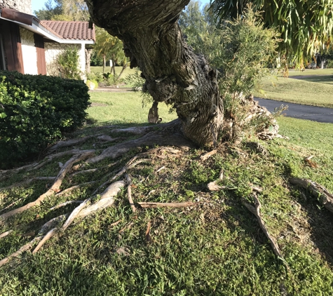 Acosta Tree Service - Miami, FL