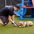 American Pet Spa & Resort - Pet Services