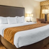 Comfort Inn & Suites gallery
