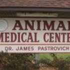 Pastrovich James Dvm