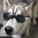 Wedington Animal Hospital - Kennels
