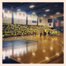 Mayser Gymnasium - Stadiums, Arenas & Athletic Fields