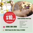 Forest Spa
