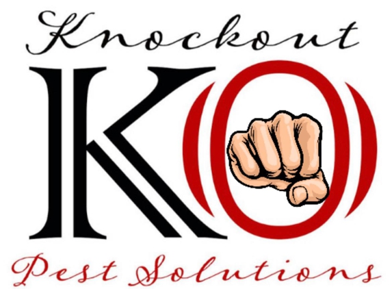 KO Pest Solutions