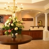 Metzger Wickersham gallery